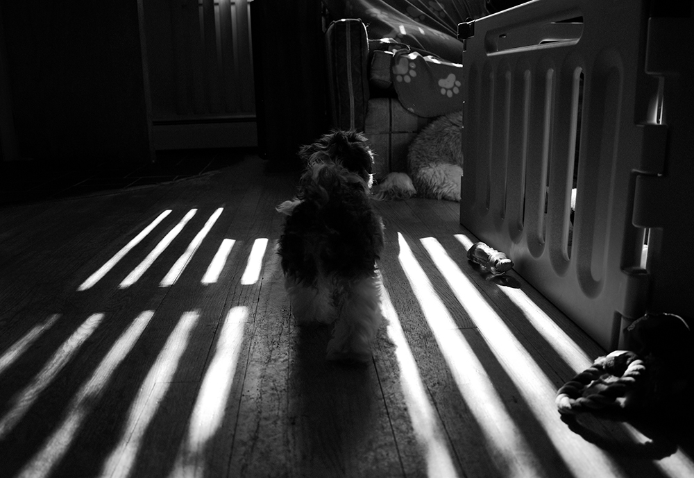 Lexi In Shadow